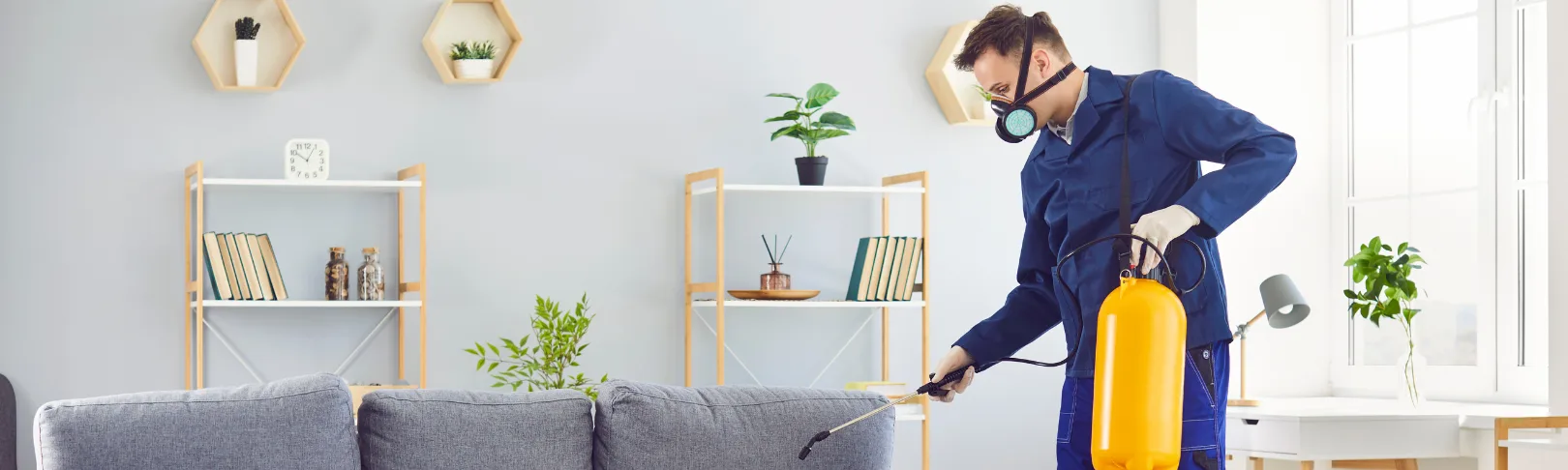 Pest Control Services in Bokaro